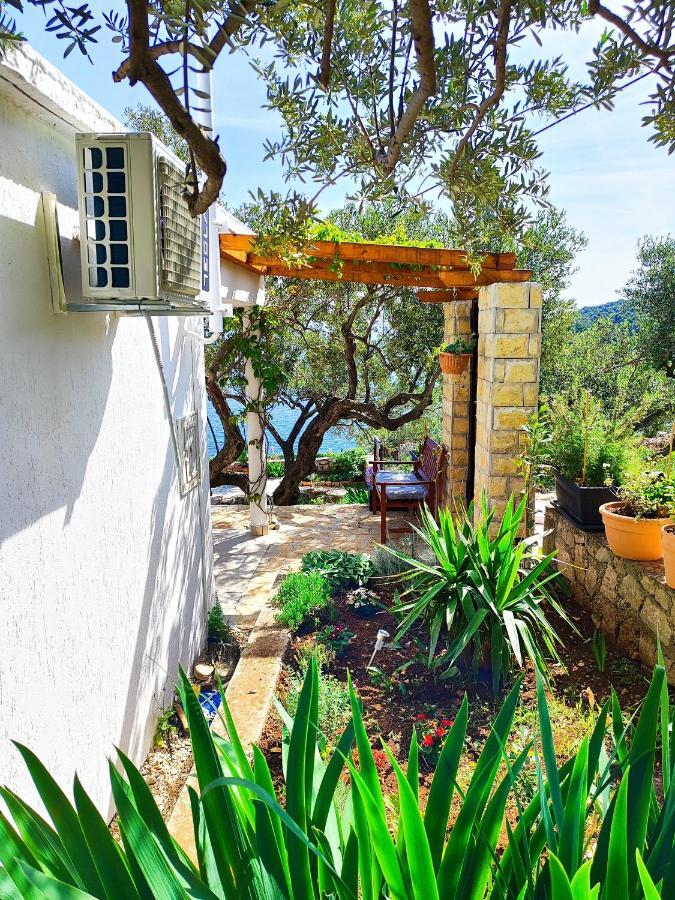 Weekend House Olive Garden Villa Donje Selo na Solti Exterior photo